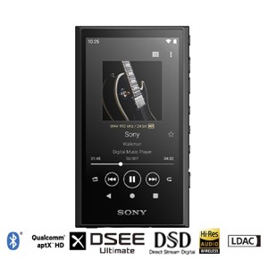 NW-A306 | Máy nghe nhạc Walkman Hi-res Sony